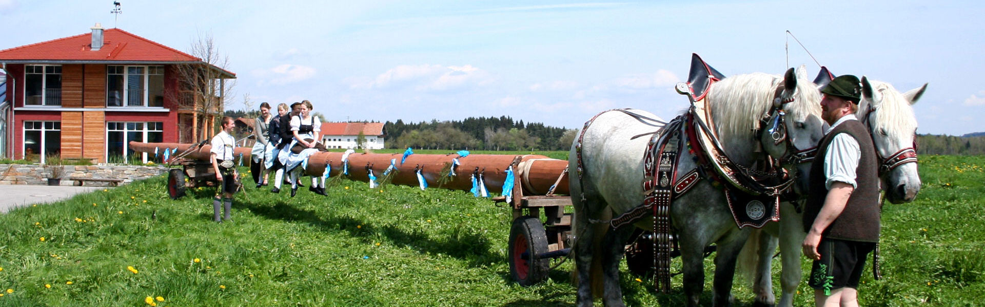 Headerbild Halfing 006